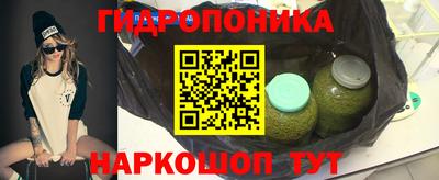 PSILOCYBIN Славгород