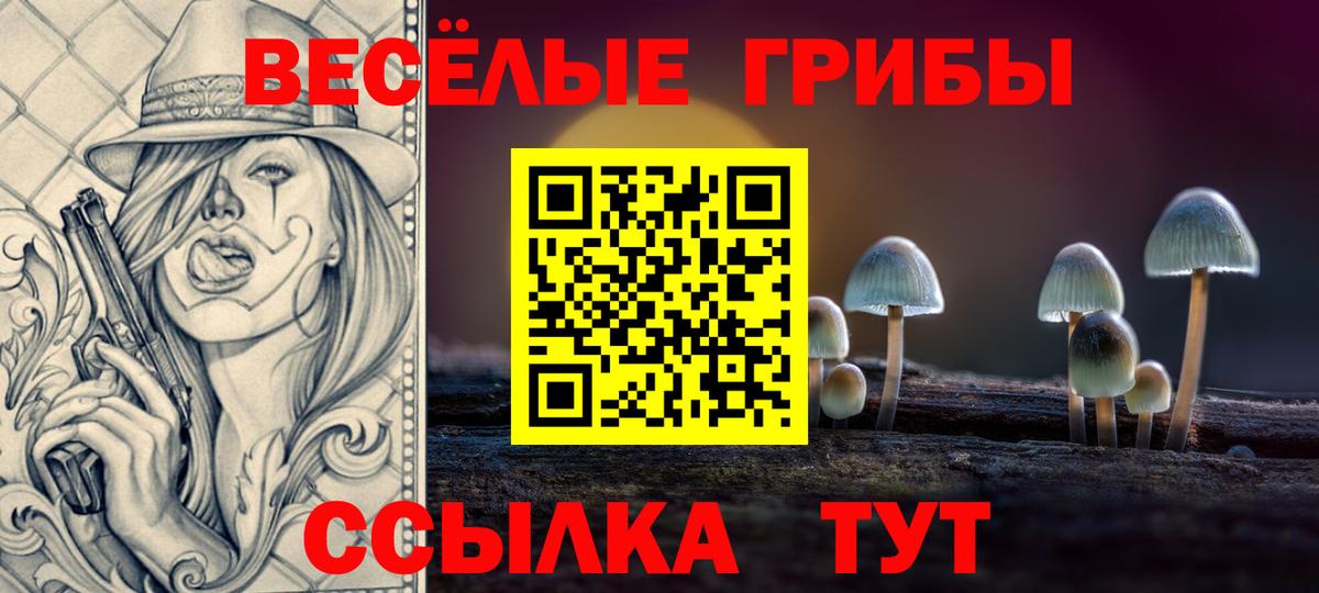 Похвистнево  Псилоцибиновые грибы Cubensis  Вход с VPN 